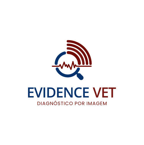 06-evidence